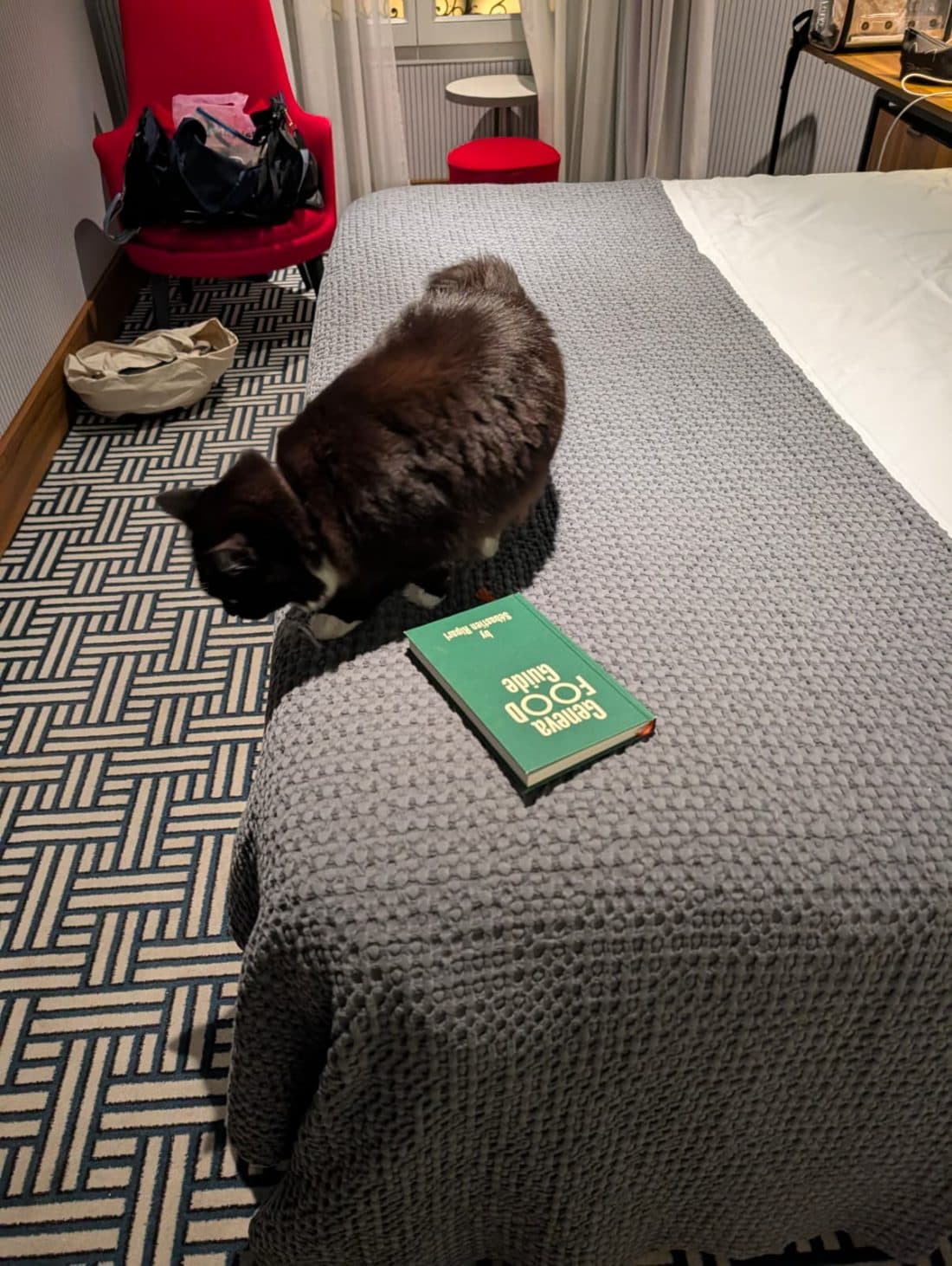 Research. Very thorough.