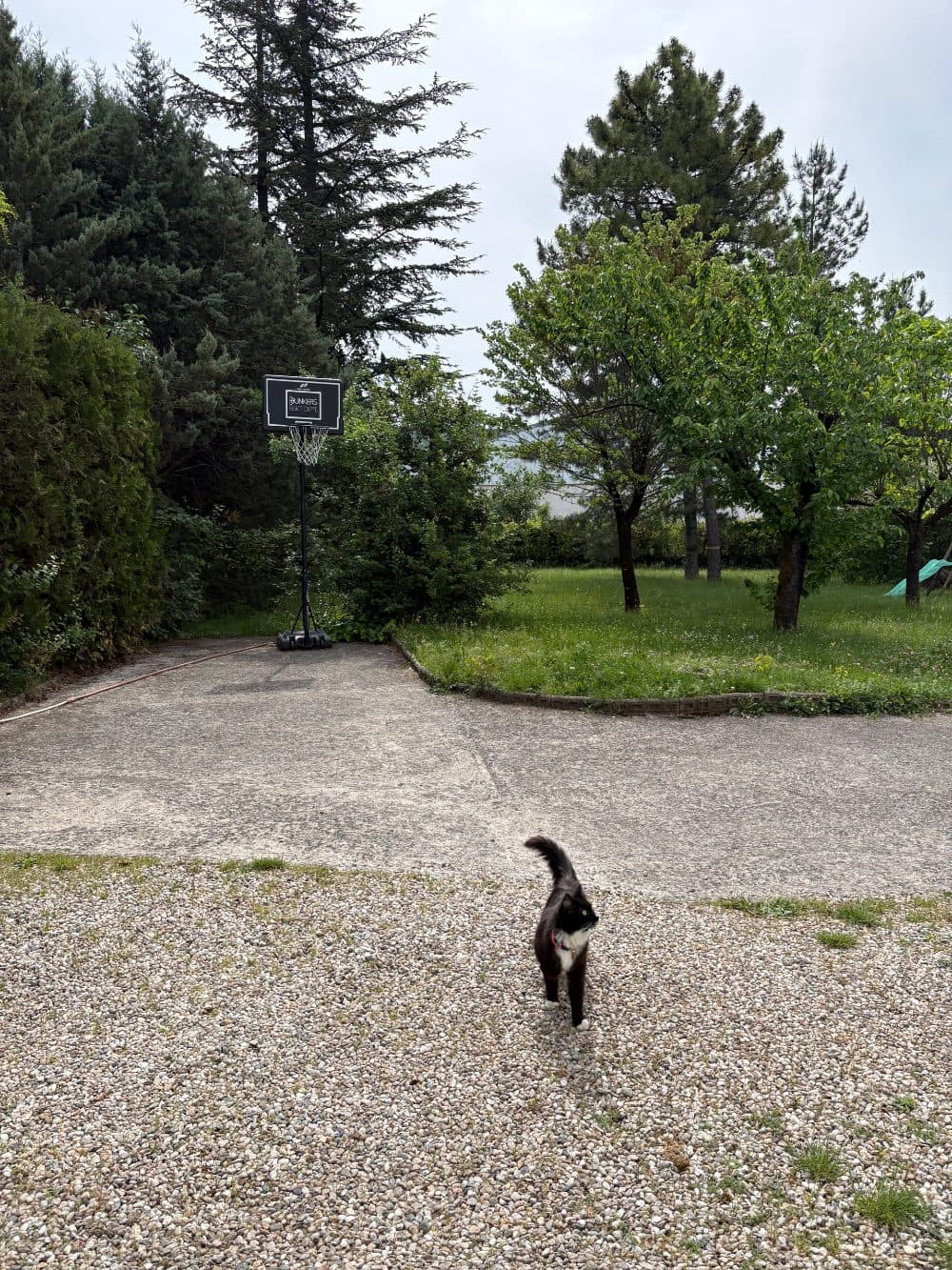 Jardin, soleil, aucune plainte