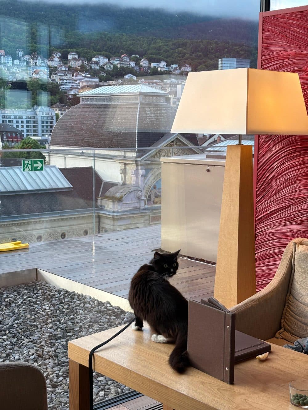 Rooftop with a view