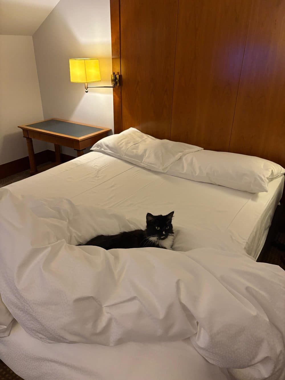 Hotel bed inspector