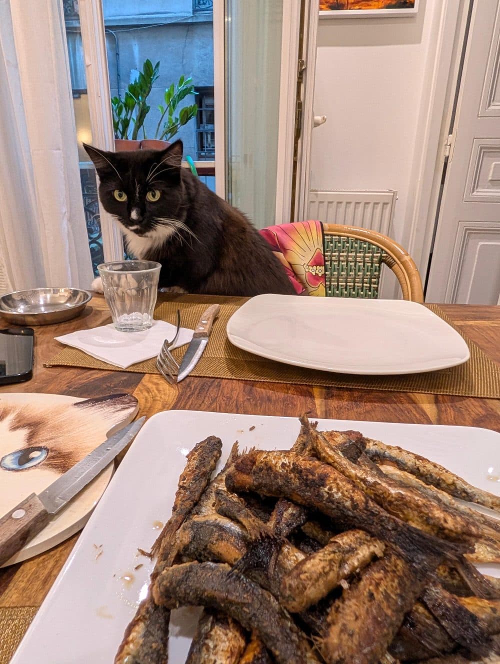 Mia at the table, staring at a plate of sardines