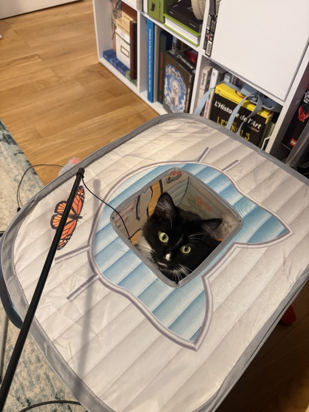 Tent inspector